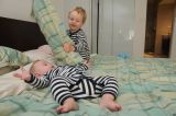 gal/Reproducing/2010-02/_thb_DSD_5893.jpg