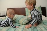 gal/Reproducing/2010-02/_thb_DSD_5921.jpg